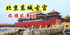 蜜臀b骚a爆插乳嗯肏蜜穴在线中国北京-东城古宫旅游风景区